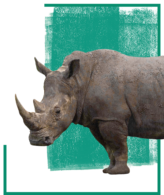 Sustainability About Image