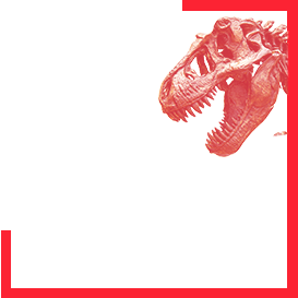 Met Museum New York thumbnail