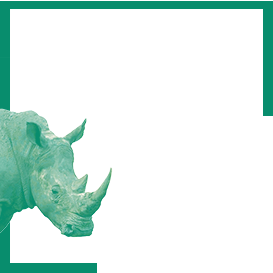 Black Rhino Conservation Thumbnail