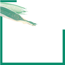 Food Culture Peru Thumbnail