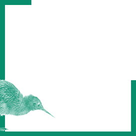 New Zealand Birds Thumbnail