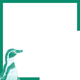 Pelagos Sanctuary Thumbnail