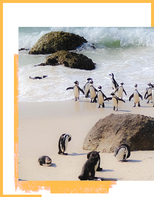 Photography class image