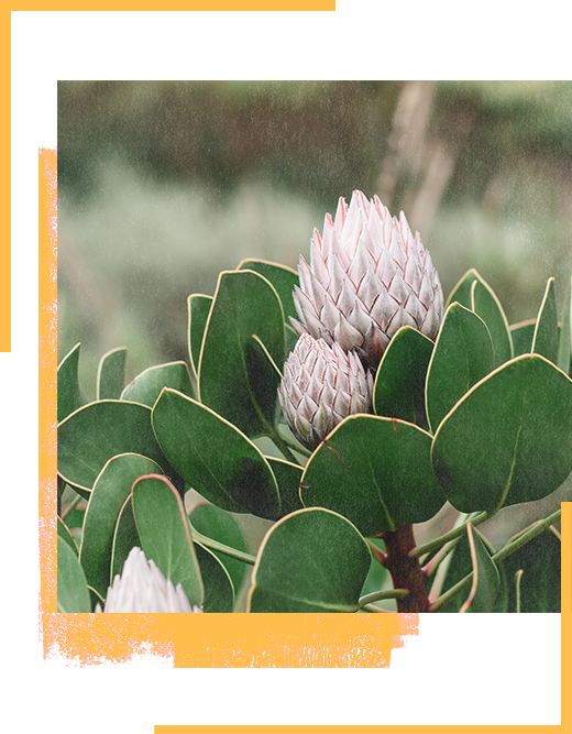 Photography class image