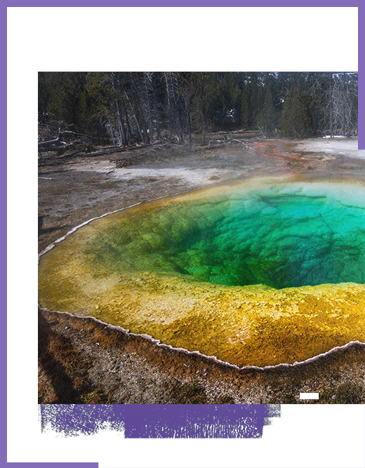 Yellowstone class