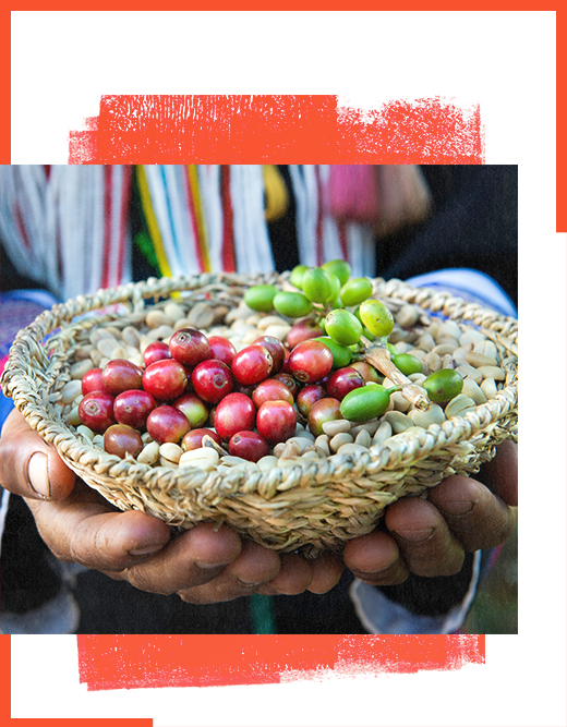 thailand culture class