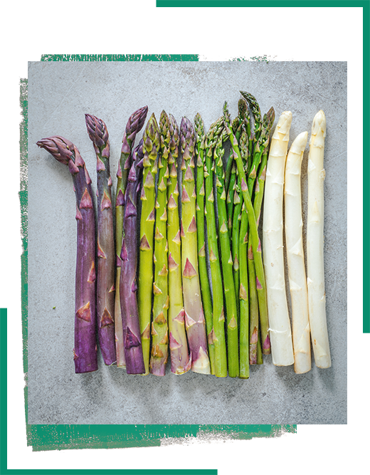 Denmark farming class