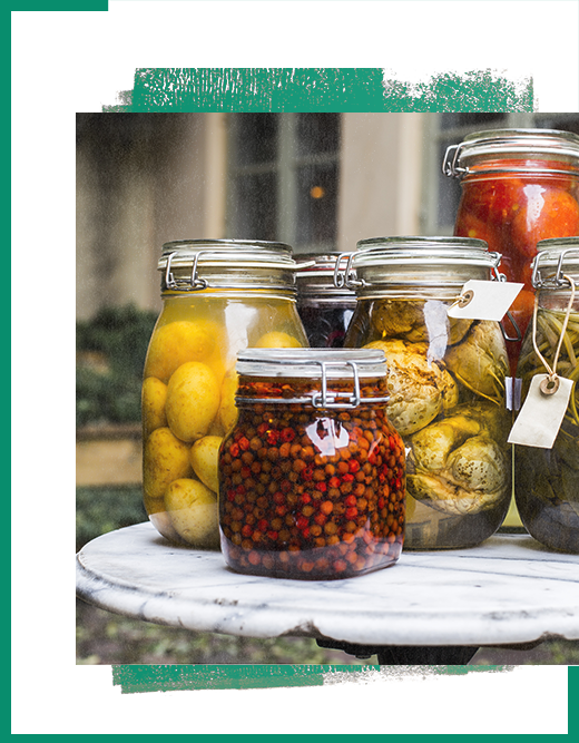 Denmark farming class